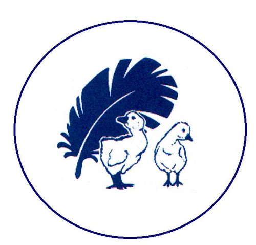 Piumino premium tutto anno - piumino,
